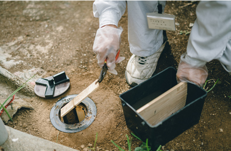 シロアリ駆除・防除