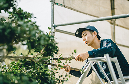 屋上・ベランダ防水